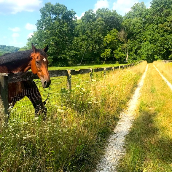 Meet your Posher, DevereauxCassie - Picture 3 of 12